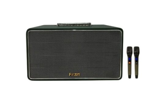 Loa karaoke FORZEN F-261
