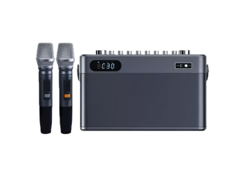 Loa Bluetooth Karaoke Huichang S80
