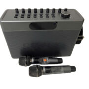 Loa bluetooth karaoke sodlk - s1127 plus 300w